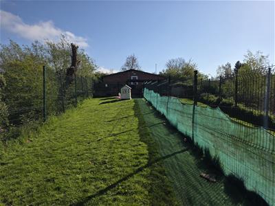 Picture 21